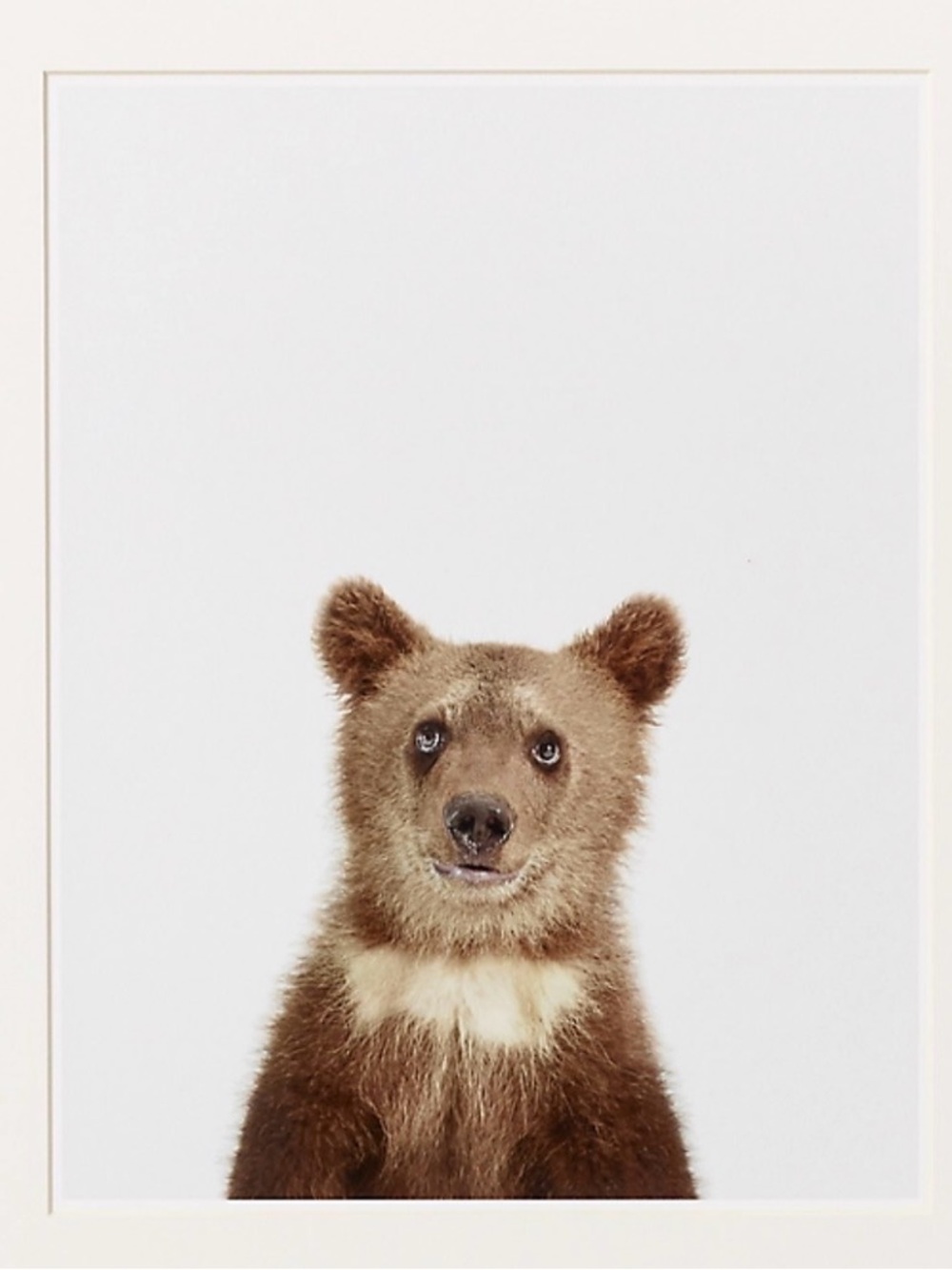 Baby Animal Bear Cub Wall Art Print - Brown and Cream